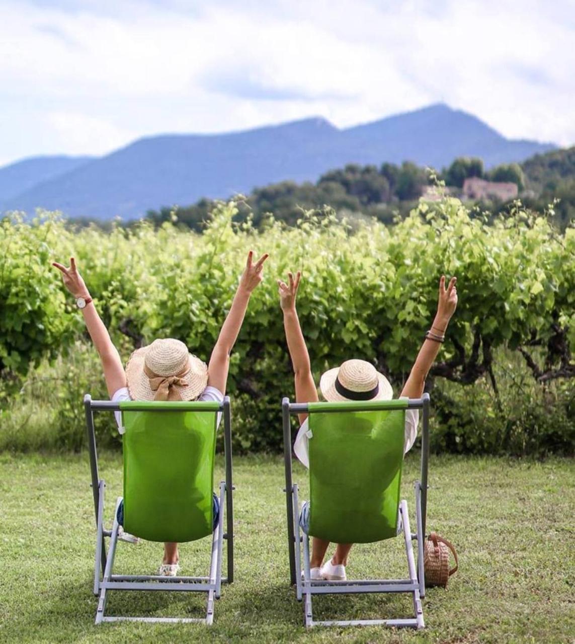 Domaine Des Bridoux Village De Gites Mirabel-aux-Baronnies Εξωτερικό φωτογραφία